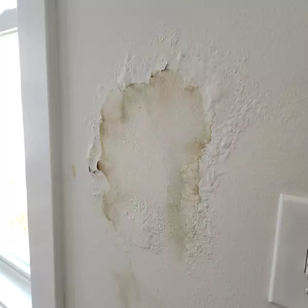 Expert Drywall Water Damage Repair in West Palm Beach, FL