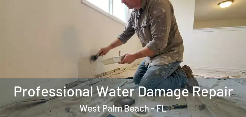  Professional Water Damage Repair West Palm Beach - FL