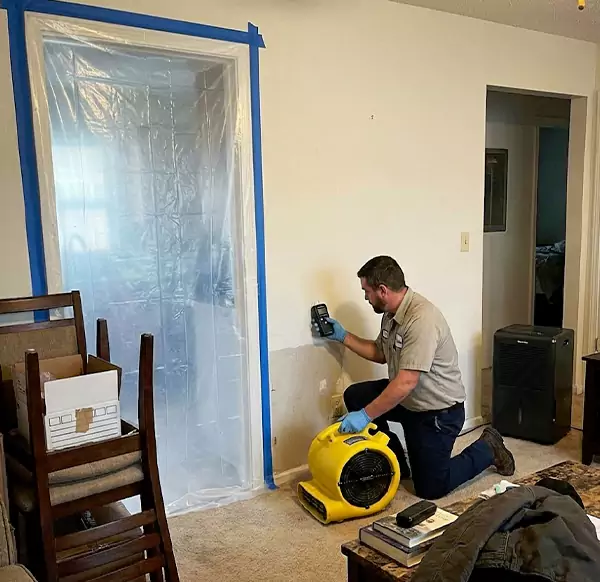 Why Homeowners & Businesses Choose WPB Water Restoration for Water Remediation in West Palm Beach, FL?